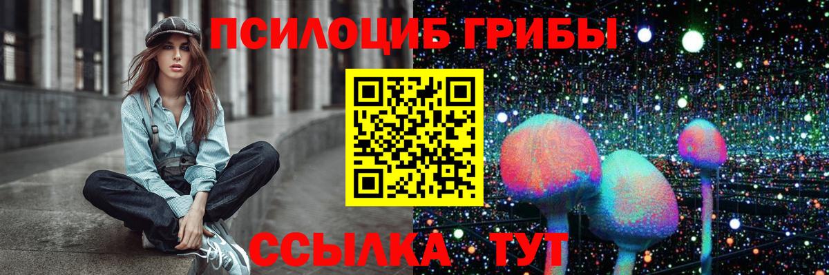 купить наркоту  Галлюциногенные грибы Psilocybine cubensis  Вход с VPN  Краснознаменск 