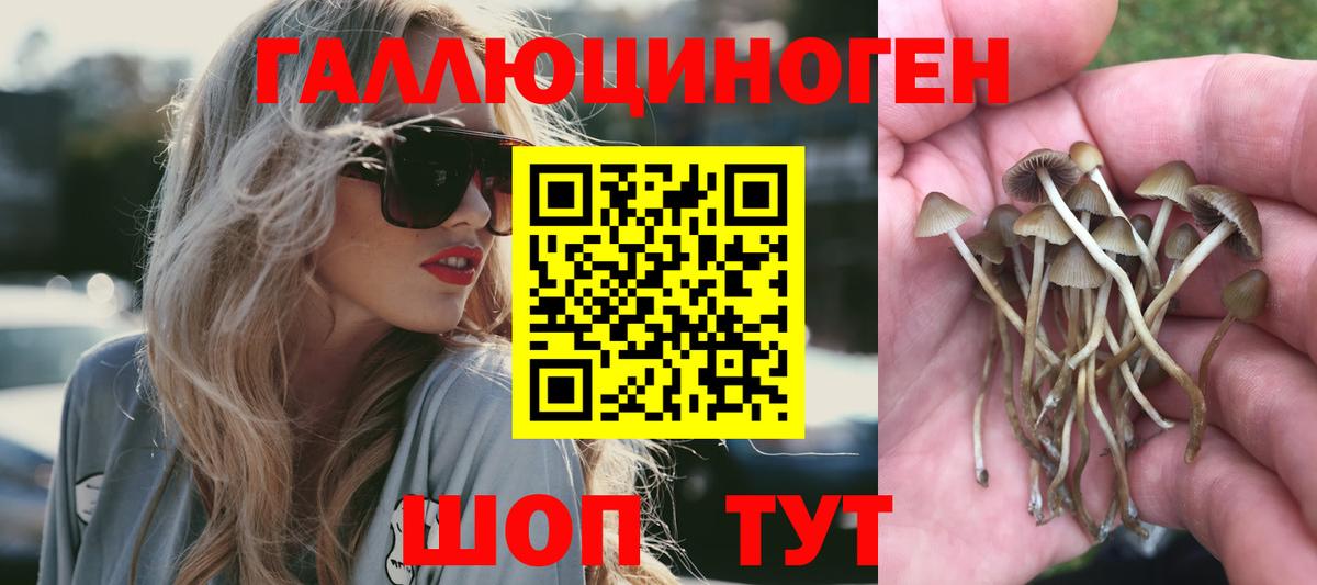 Псилоцибиновые грибы ЛСД Краснознаменск